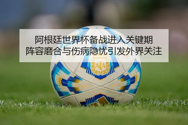 阿根廷世界杯备战进入关键期 阵容磨合与伤病隐忧引发外界关注 | lansedaohang